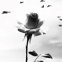 Музыка от Ulan