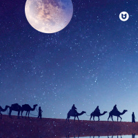 Музыка от Замира Рафайлова