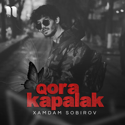 Песня Хамдам Собиров – Qora Kapalak
