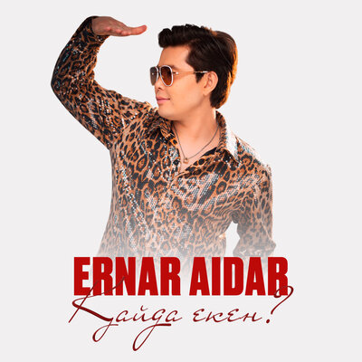 Песня Ernar Aidar – Қайда екен?