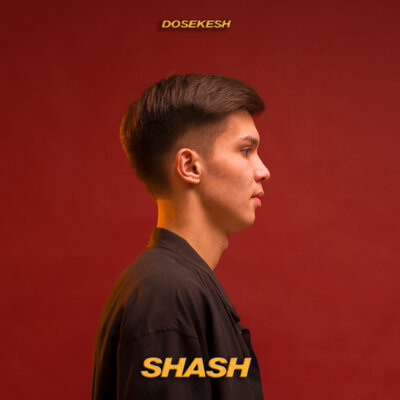 Песня Dosekesh – Shash