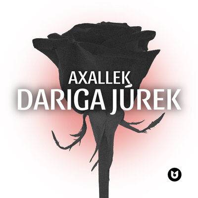 Песня AXALLEK – Dariga jurek