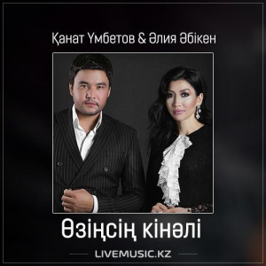 Песня Kanat Umbetov & Aliya Abiken – Өзіңсің кінәлі (2017)