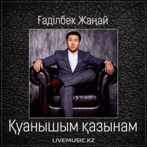Песня Gadilbek Zhanay – Қуанышым қазынам (2017)
