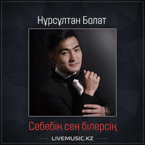 Песня Нұрсұлтан Болат – Себебін сен білерсің (2017)