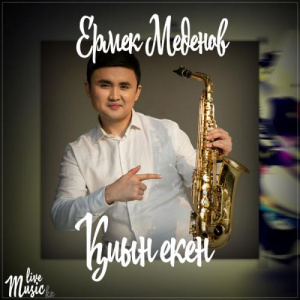 Песня Ермек Меденов – Қиын екен (2017)