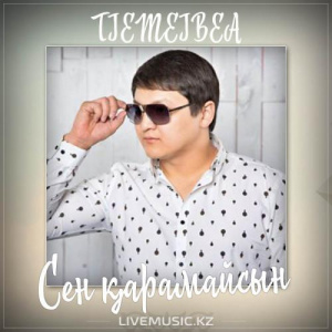 Песня TIEMEIBEA – Сен қарамайсын (2017)