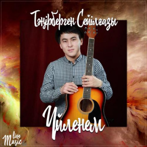 Песня Тәңірберген Сейілғазы – Үйленем (2017)