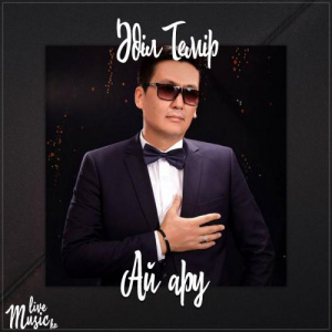 Песня Әділ Темір – Ай ару (2017)