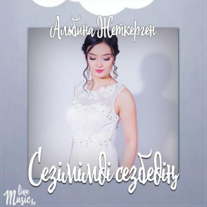 Песня Альбина Жеткерген – Сезімімді сезбедің (2017)