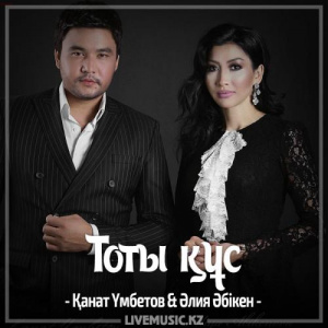 Песня Kanat Umbetov & Aliya Abiken – Тоты құс (2017)