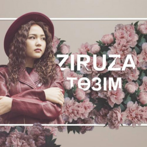 Песня Ziruza – Төзім (2017)