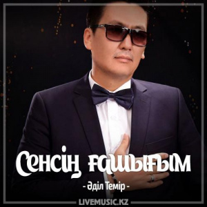 Песня Әділ Темір – Сенсің ғашығым (жаңа нұсқа) (2017)