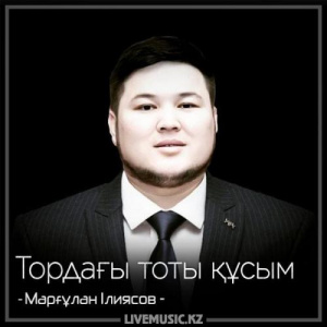 Песня Марғұлан Ілиясов – Тордағы тоты құсым (2018)