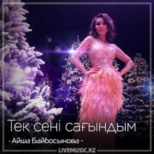 Песня Айша Байбосынова – Тек сені сағындым (2018)