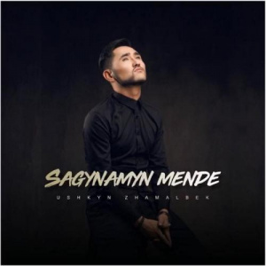 Песня Ұшқын Жамалбек – Сағынамын менде (2018)