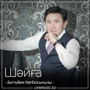 Песня Заттыбек Көпбосынұлы – Шәйға (2018)