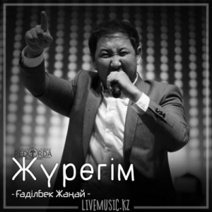 Песня Gadilbek Zhanay – Жүрегім (2018)
