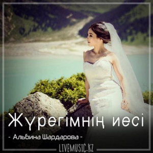 Песня Альбина Шардарова – Жүрегімнің иесі (2018)