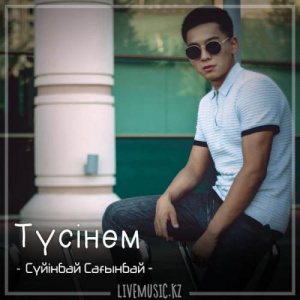 Песня Сүйінбай Сағынбай – Түсінем (2018)