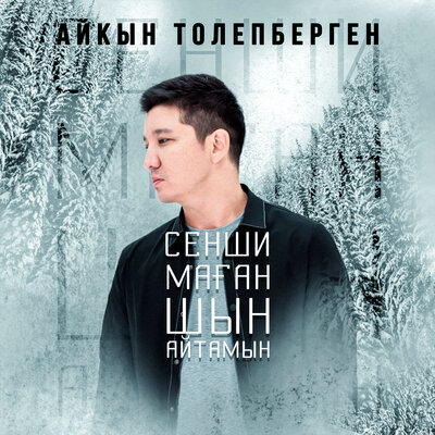 Песня Айкын Толепберген – Сенши маған шын айтамын
