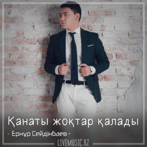 Песня Ернұр Сейдінбаев – Қанаты жоқтар қалады. (2018)