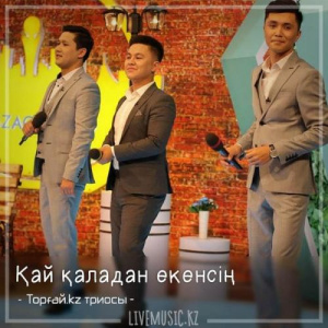 Песня Торғай.kz триосы – Қай қаладан екенсің (2018)