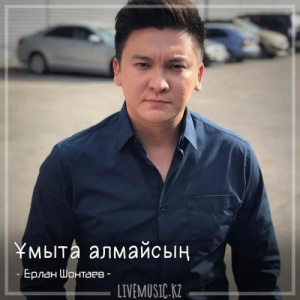 Песня Ерлан Шонтаев – Ұмыта алмайсың (2018)