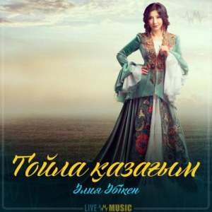 Песня Aliya Abiken – Тойла қазағым (2019)