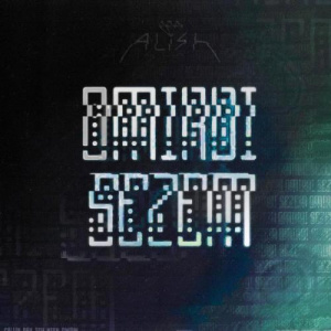 Песня Monaldin ft. Alish Rich – Omirdi sezem (2019)