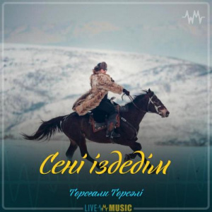 Песня Төреғали Төреәлі – Сені іздедім