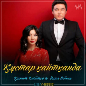 Песня Kanat Umbetov & Aliya Abiken – Құстар қайтқанда