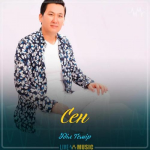 Песня Әділ Темір – Сен