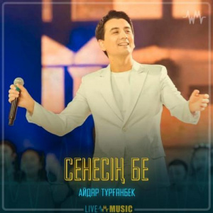 Песня Айдар Тұрғанбек – Сенесің бе