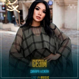 Песня Dinara Alzhan – Сезім