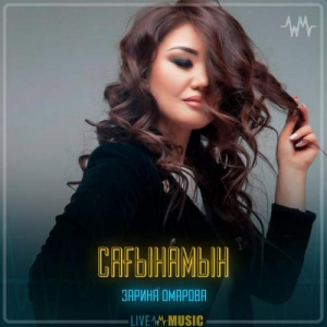 Песня Зарина Омарова – Сағынамын