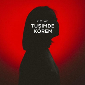 Песня C.C.TAY – Nege