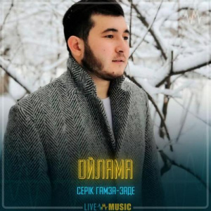 Песня Серік Гамза-заде – Ойлама