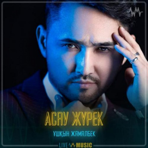 Песня Ұшқын Жамалбек – Асау жүрек