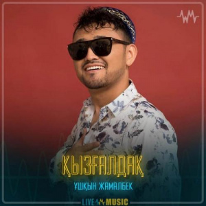 Песня Ұшқын Жамалбек – Қызғалдақ