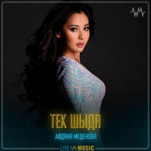 Песня Айдана Меденова – Тек шыда