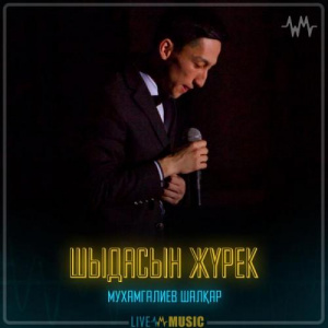Песня Мухамгалиев Шалқар – Шыдасын жүрек