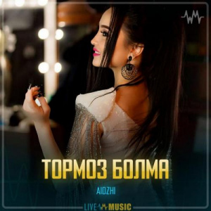 Песня AIDZHI – Тормоз болма