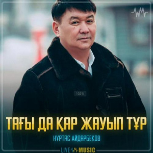 Песня Нұртас Айдарбеков – Тағы да қар жауып тұр