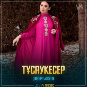 Песня Dinara Alzhan – Тұсаукесер