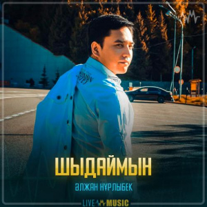 Песня Әлжан Нұрлыбек – Шыдаймын