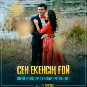 Песня Әліби Бекайдар & Гүлнұр Нұрасылова – Сен екенсің ғой