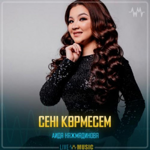 Песня Аида Нажмадинова – Сені көрмесем