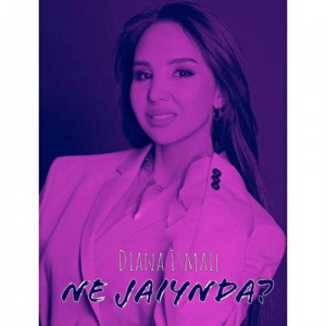 Песня Diana Ismail – Не жайында