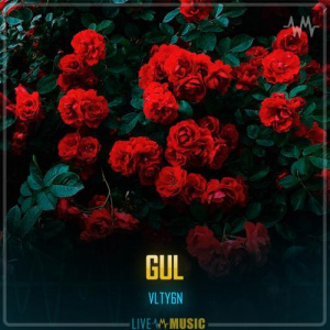 Песня VLTY6N – Gul